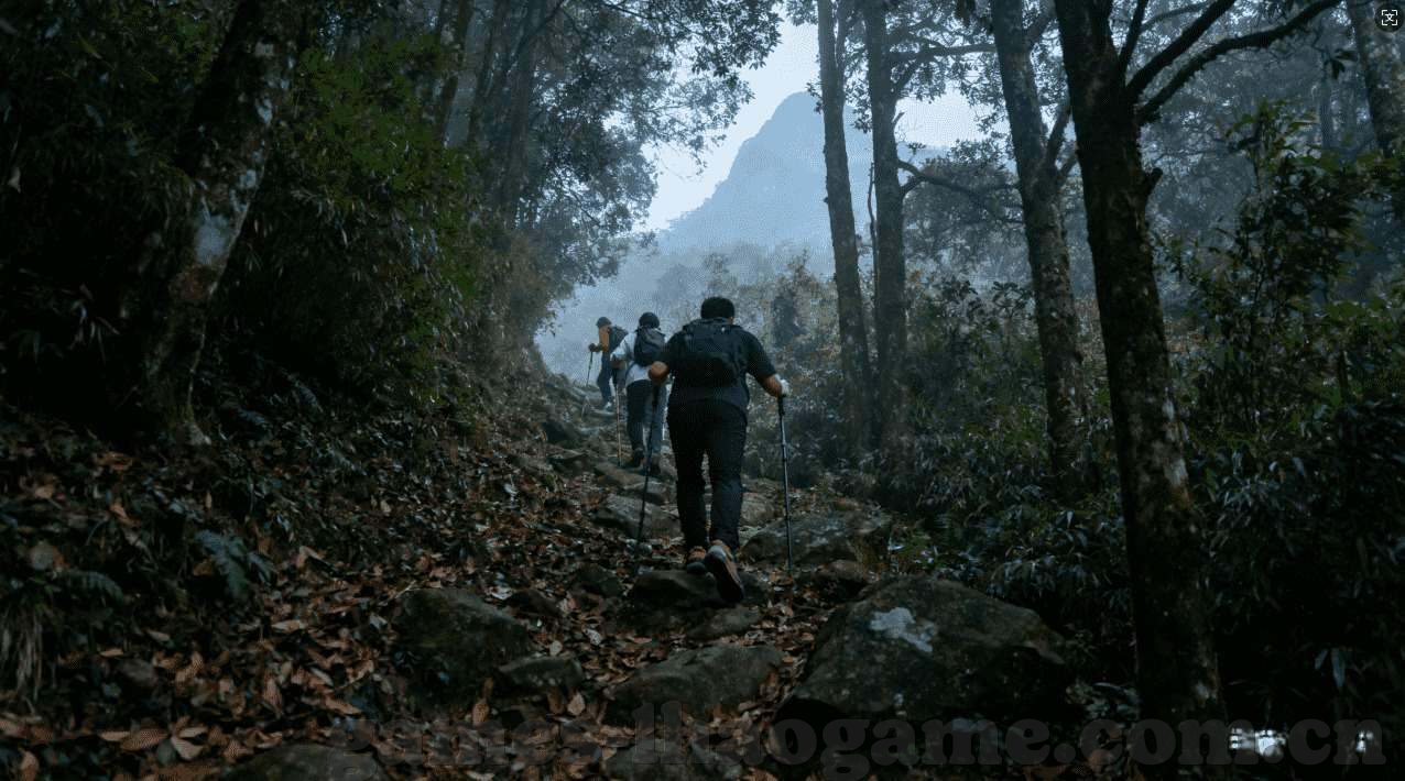 大富翁水果机下载-大富翁水果机，休闲时光的趣味选择